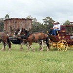 Replica Cobb and Co Coach