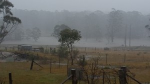 Bob White's property western side of causeway