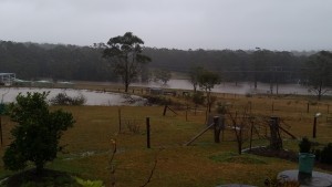 Bob White's property Western side of causeway