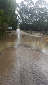Causeway on Hancock's Creek