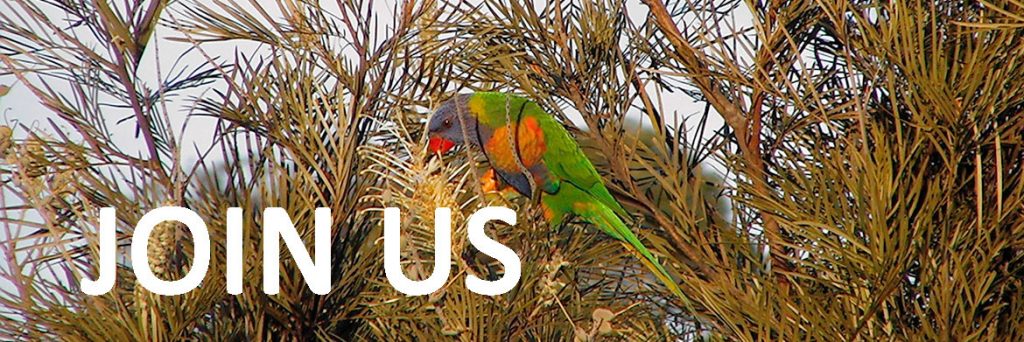 Photo of lorikeet with join us message