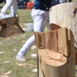Wooden block with axe and wood splinters