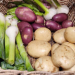 Community Brekky and Home Harvest Swap