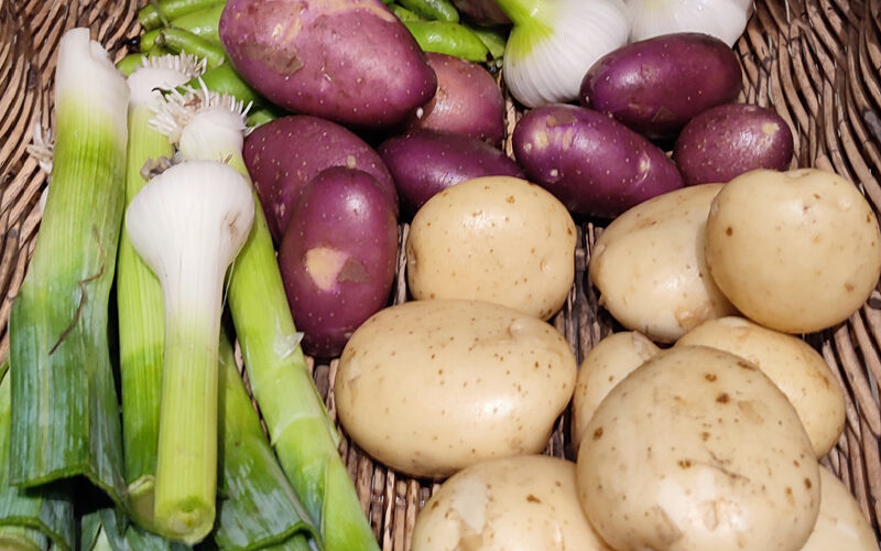 Produce from Home Harvest swap