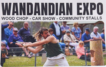 Expo woodchop axeman in action