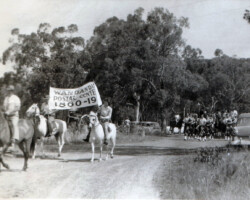 Post Office Centenary Parade1960 Post Office Centenary Parade1960