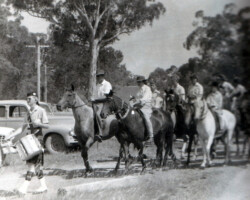 Post Office Centenary Parade1960 Post Office Centenary Parade1960